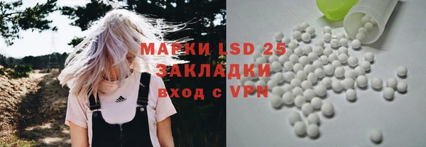 стаф Аркадак
