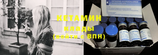 стаф Аркадак
