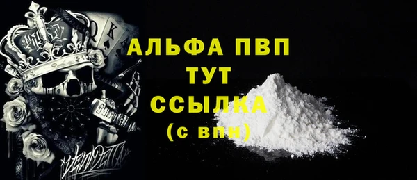 стаф Аркадак
