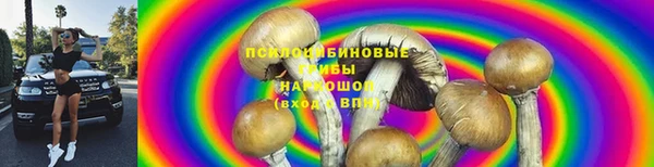 ALPHA PVP Арсеньев
