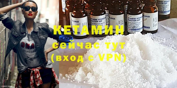 стаф Аркадак