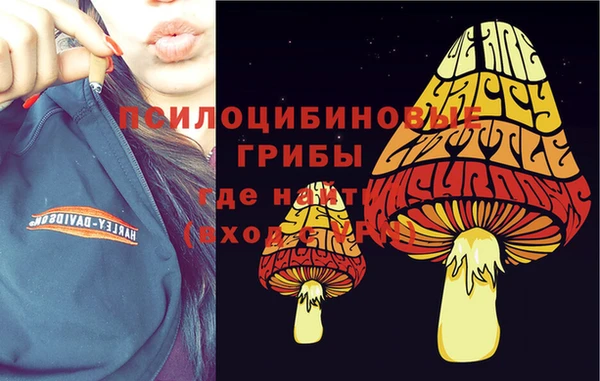 бутик Алексеевка