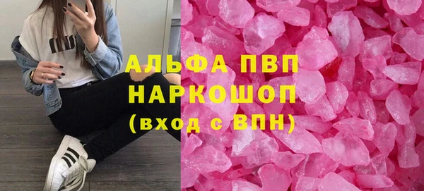 стаф Аркадак