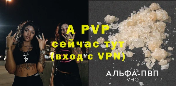 стаф Аркадак