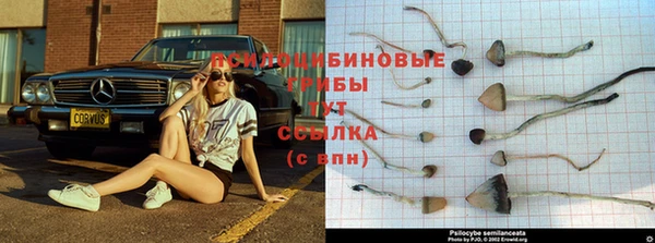 бутик Армянск