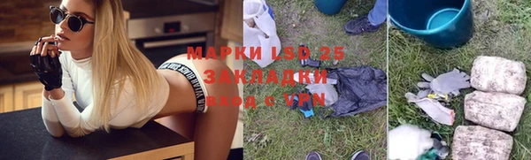 стаф Аркадак